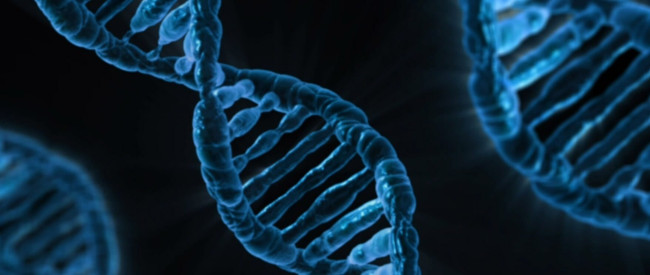 Case Study: Transparency Failures in Applied Genomics