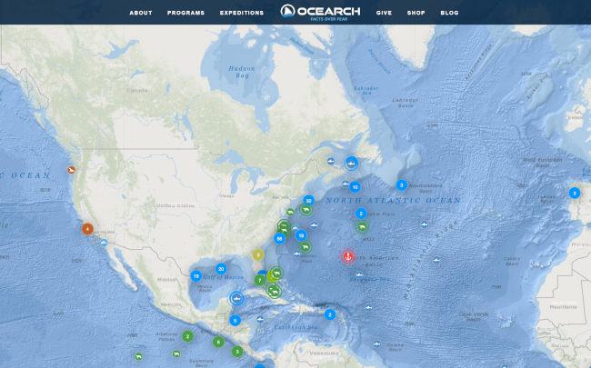 Shark Tracker